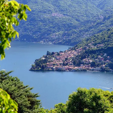 Panoramic Terrace - From The Nature To The